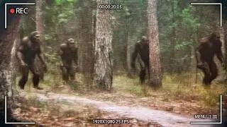 NEW Bigfoot Footage Caught On Camera In Washington Changes EVERYTHING!
