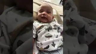 Celoteh raizan