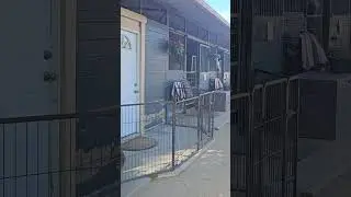 Конноспортивная школа Avanti Equestrian тренера по конкуру Эми Хесс 🐎 #шорты