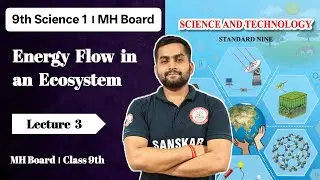 Energy Flow in an Ecosystem - Lecture 3 || Class 9 MH Board || Sanskar Plus