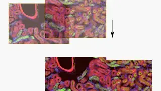 Inner Working of ImageStitch: Image Registration, Projection and Blending