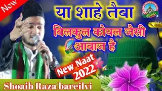 या शाहे तैबा या शाहे तैबा | Shoaib Raza bareilvi Naat | Amde Rasool confrance Sahsarwa