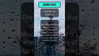 Captivating Science Facts in One Minute or less @kingjuanlearnings