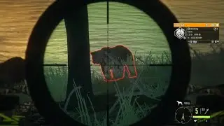 Legendary Grizzly With A Crossbow 