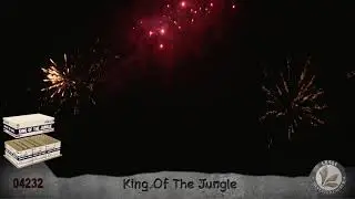 NESS - MEIN EINKAUFSMARKT FEUERWERKSVERKAUF 2019 -  King Of The Jungle