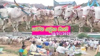 Adoni Friday bulls market videos // Kurnool District Adoni Cattiles Market Videos 2025