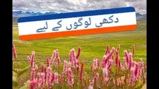 Heart touching Gojri/phari song❤️