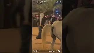 سنابات رياض الخبران-زواج فايز ال عمر-
