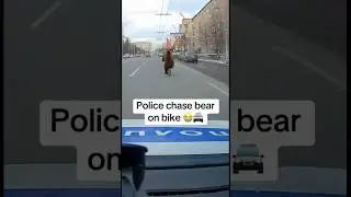 This only happens in Russia #cop #police #bodycam #policecase