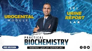 Urine Report - Lab I Practical Biochemistry I Urogenital Modue I NUB 2024
