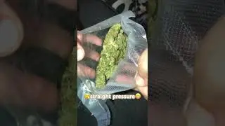$35 smalls and mini ounce box review of OG Kush (gas or trash 🤫?)
