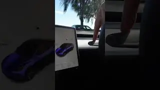 Cancelling the indicator in your Tesla