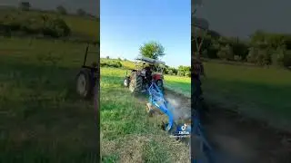 STEYR 8073 pulluk performansı 👌