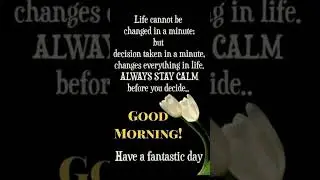 Have a great day family ❤️ #goodmorning #goodthoughts #goodness #goodvibes