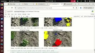 Automated Generation of Accurate, Compact and Focused Crop and Weed Segmentation Models