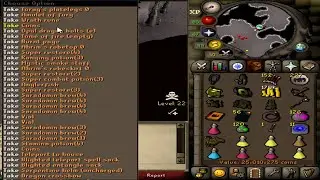 Rev Cave Pking Compilation