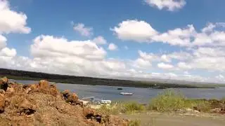 Galapagos and the Gnar