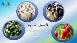 الاصول الحيوية #معيار٣٥المصرى_الزراعه