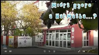 Miért gyere a Harmatba ... ?