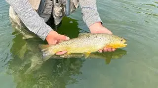 Fly Fishing the Owyhee River | 3 Generations on the River