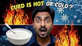 Is Curd Hot 🔥 OR Cold ❄️ IN Nature ? | Curd Health Benefits | How to use curd in Right Way | Curd 🔥🥶