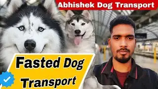 Pet Dog Delivery Service Via Train | Abhishek Dog Transport | Pet Transportation Service 