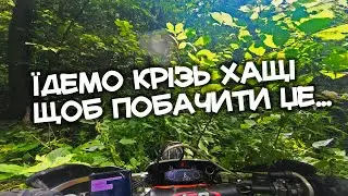 ЦЕ ТОГО ВАРТУВАЛО... ПРОБИРАЄМОСЯ ЧЕРЕЗ ЛІС ЗА КРАЄВИДАМИ / KOVI LITE 300 / GNS 300