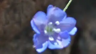 crossgardens ☨ - believer
