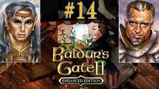 Келдорн и Хаер'Далис &mdash; Baldur&rsquo;s Gate 2: Enhanced Edition Прохождение игры #14