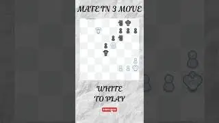 Mate in 3 move🤔 #chess #shorts  #riddles