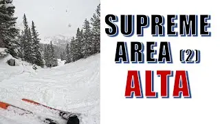 Pow Day Skiing in the Supreme Chair Area at Alta Ski Resort (2)