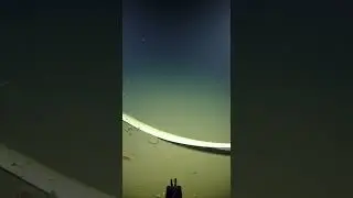 What is this? 😱😱 | abyssaldescent|abyssalplain  |deepoceanfish | deepseaexploration