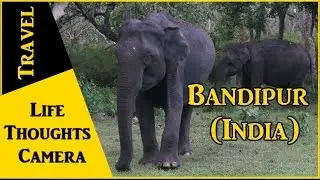 Travel Diary : Bandipur in Karnataka (India) - Ep 144 | Life Thoughts Camera