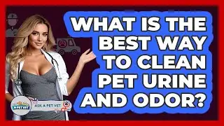 What Is The Best Way To Clean Pet Urine And Odor? - Ask A Pet Vet