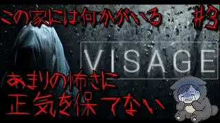 【新章スタート】この家は何かがおかしい。精神崩壊すると言われたホラーゲームがやばすぎる【visage #3】