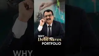 Why Debt Saves Portfolio