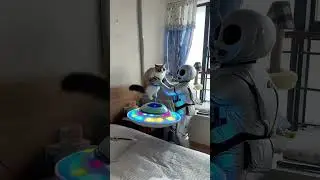 Cats urgently recalled! AI recreates the shocking moment when the 