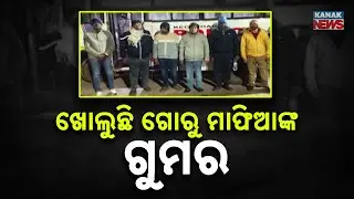 Massive Crackdown on Cow Smuggling Racket in Odisha | Assets Worth ₹50 Crore Seized