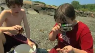 Invasive Species Awareness