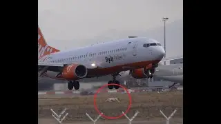UNBELIEVABLE! DOG ON RUNWAY | BOEING737 VS DOG