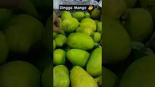 Malihabad Mango Market Dingga mango  safeda mango #mango #fruits #farm #shortsfeed #aam #malihabad