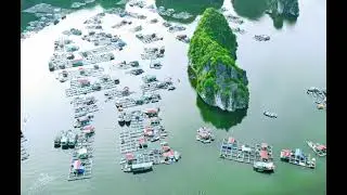 Indochine Classic Cruise  l  Cat Ba Archipelago
