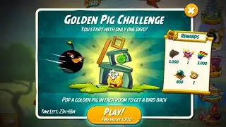 Angry Birds 2 Golden Pig Challenge (Bomb Bird)