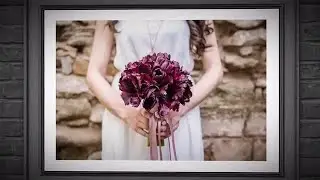 I Love You - Photo Gallery After Effects Templates