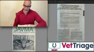 Does trimethoprim-sulfadiazine suspension work for Streptococcus equi subsp zooepidemicus in equids?