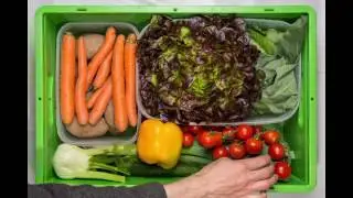 Gr&uuml;ner Bote Neue Verpackung
