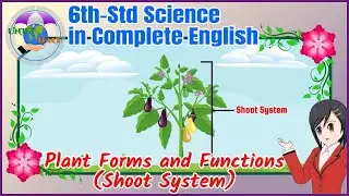 6th Std | Science | Term-1 | Unit-4.1 | Plant Forms and Functions | Shoot System | Complete English