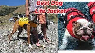 Top 5 Best Dog Life Jacket Vest Reviews for your dogs