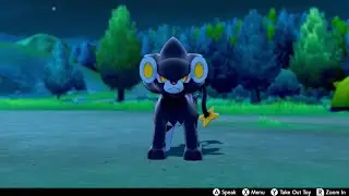 Luxray In Camp - Pokemon Sword & Shield