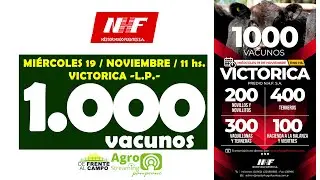 en VIVO - 11 hs. - REMATE de N&Eacute;STOR HUGO FUENTES S.A. - VICTORICA -L.P.- MI&Eacute;. 19 /  NOV. / 2025 -